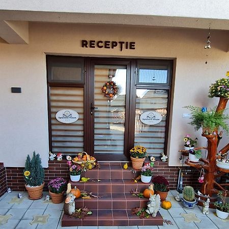 Splendid House Hotel Făgăraş Kültér fotó