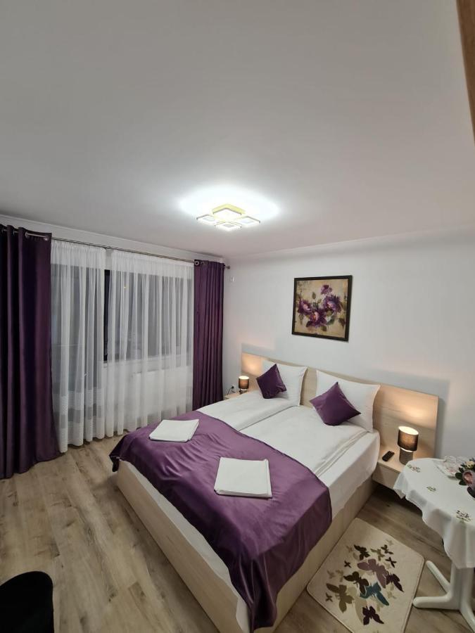 Splendid House Hotel Făgăraş Kültér fotó