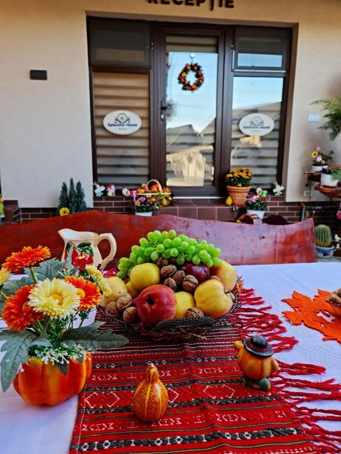 Splendid House Hotel Făgăraş Kültér fotó